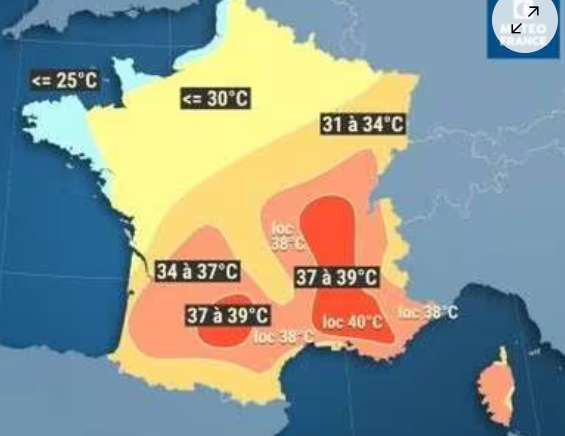 Canicule